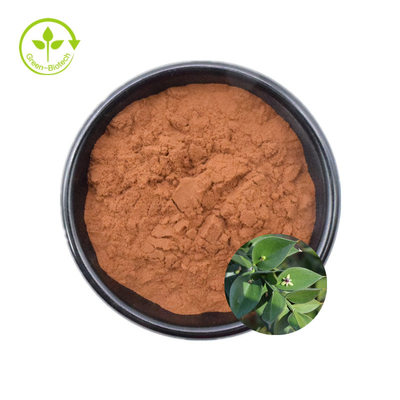 Ekstrak sapu tukang daging tanaman alami 10% 20% ruskogenin untuk perawatan yang sehat