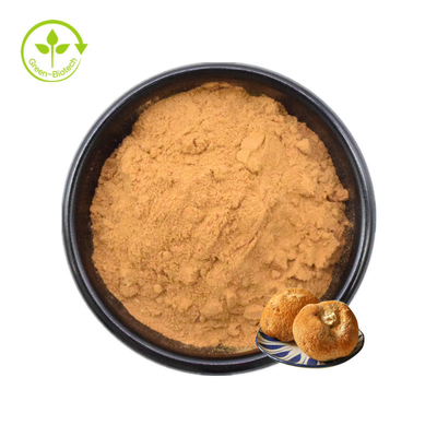 Lions Mane Miselium Ekstrak Bubuk Jamur Hericium Erinaceus 30%