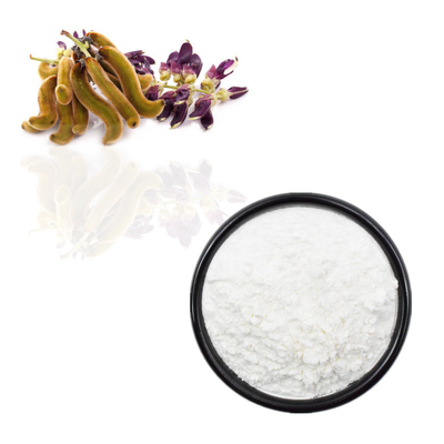 Tanaman Mucuna Pruriens Ekstrak 98% 99% L-Dopa Powder