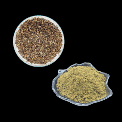 2% 10% 20% 40% Suplemen Bubuk Ekstrak Turkesterone Ajuga Turkestanica