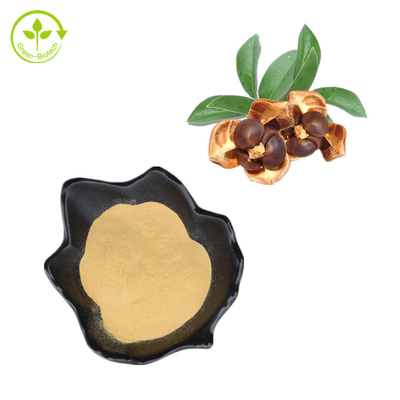 CAS 8047-15-2 Ekstrak Tumbuhan Alami 80% Bubuk Saponin Biji Teh