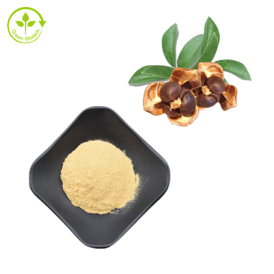 100% Ekstrak Biji Camellia Alami 95% Bubuk Saponin Teh