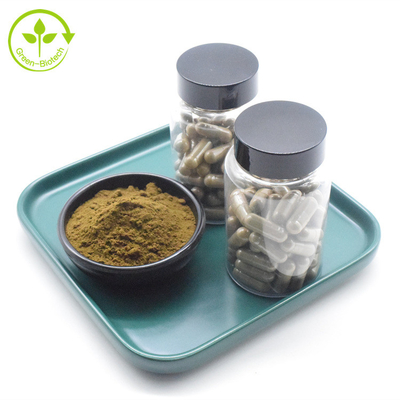 Private Label Natural Ajuga Turkestanica Extract Powder Kapsul Turkesterone 500mg Murni