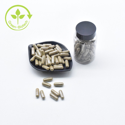 Pabrik Grosir Turkesterone Murni 40% Bubuk Label Pribadi Ajuga Kapsul Turkesterone 500mg