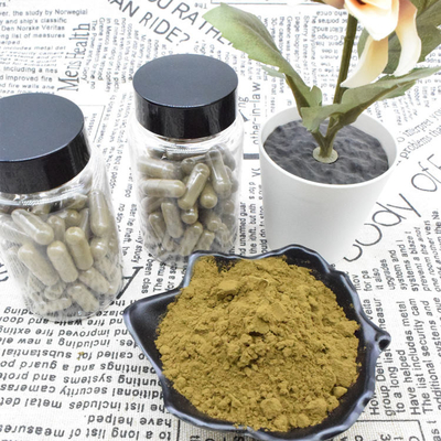 Ajuga Turkestanica Ekstrak Bubuk 2% 10% Ekstrak Turkesterone