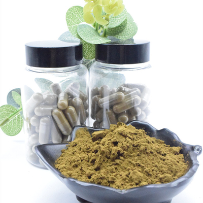 100% Bubuk Turkesteron Alami 2% 10% 40% Ekstrak Ajuga Turkestanica