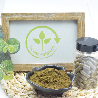 Top Quality Ajuga Turkesterone Powder 10 Ekstrak Turkesterone Ekstrak Tumbuhan Turkesterone