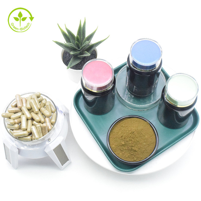 Pabrik Langsung Pasokan Harga Grosir Ajuga Turkestanica Extract Turkesterone Powder