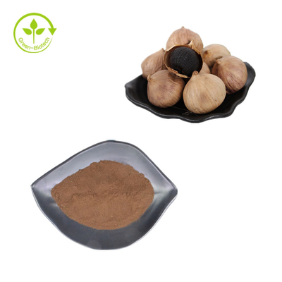 Harga Grosir Fermenter Black Garlic Powder