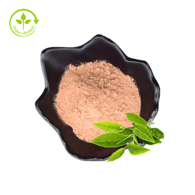 100% Organik Alami Segar Dan Ekstrak Tumbuhan Dari Ekstrak Tumbuhan Daun Untuk Menurunkan Berat Badan Ekstrak Teh Hijau