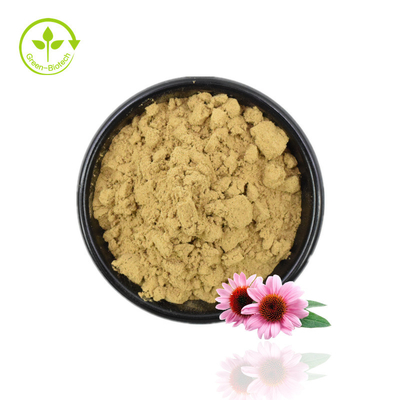 Bubuk Ekstrak Echinacea Berkualitas Tinggi Ekstrak Echinacea Purpurea 4% Serbuk Polifenol