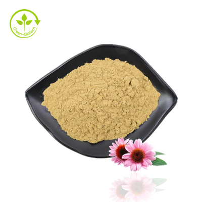 Ekstrak Ramuan Echinacea Ekstrak Echinacea Purpurea Ekstrak Polifenol Echinacea
