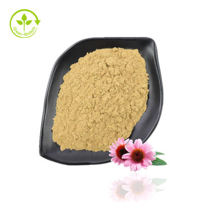 Bubuk Ekstrak Echinacea Purpurea Kemurnian Tinggi 10% -40% Echinacoside