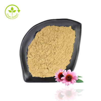 Jual Panas Ekstrak Echinacea Purpurea 4% -6% Polifenol 2% -4% Bubuk Echinacea Alami