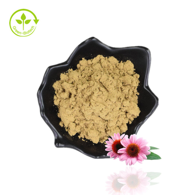 Massal 4% Polifenol Echinacea Purpurea Ekstrak Bubuk Ekstrak Coneflower Ungu