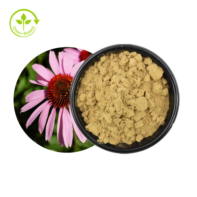 Jual Panas Ekstrak Echinacea Purpurea Herbal Ekstrak Echinacea