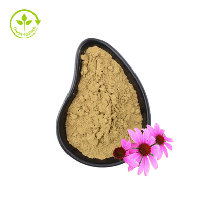 Ekstrak Organik Echinacea Purpurea Ekstrak Akar Echinacea