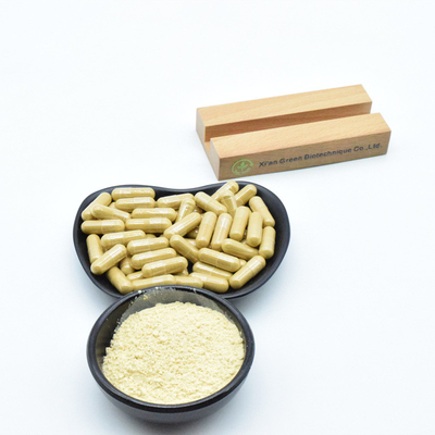 100% ekstrak tanaman alami Ginseng ekstrak bubuk untuk memperkuat energi vital