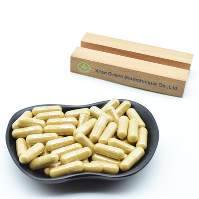 Ekstrak Akar Ginseng Suplemen Produk Kesehatan Kapsul