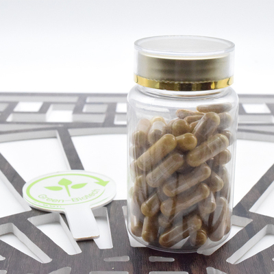 Pabrik Pasokan Ginseng Root Powder Panax Ginseng Ekstrak 20:1 Ginsenoside 80%