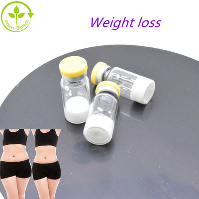 Semaglutide Hot Sale Di Pasar Eropa Untuk Penurunan Berat Badan