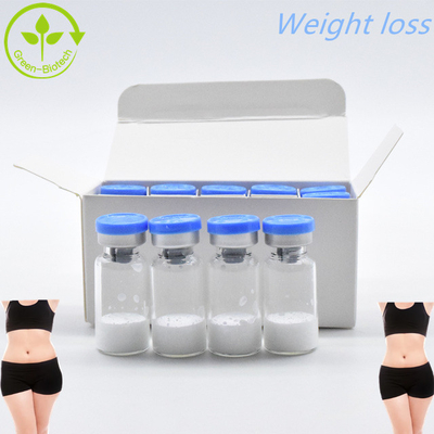CAS 910463-68-2 Semaglutide Untuk Kehilangan Berat Badan 10mg/Vails In Stock