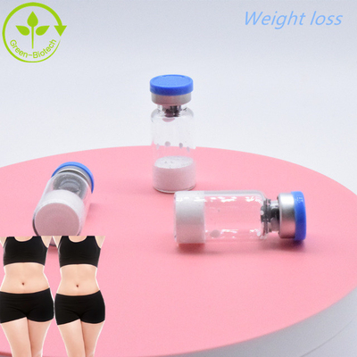 Grosir GLP-1 Peptide Powder  Semaglutide Untuk Penurunan Berat Badan