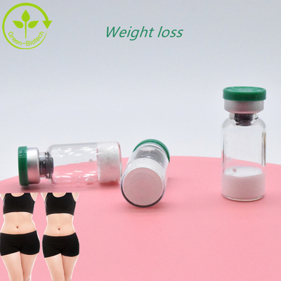 Fast Shipping GLP-1 Peptide Powder Putih Murni  Semaglutide