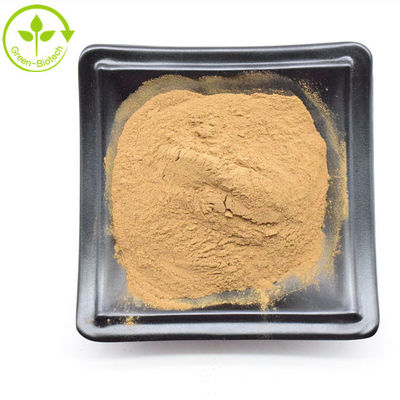Dendrobium Noble Extract Powder berkualitas tinggi 10:1 Dendrobium Extract