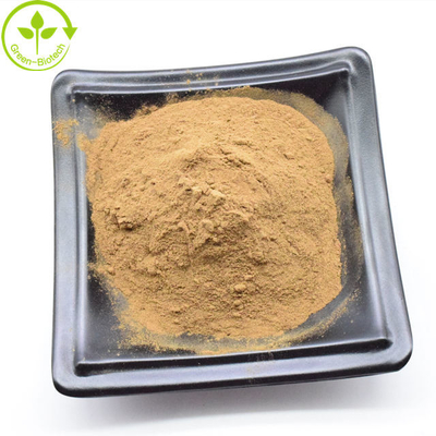 Grosir Dendrobium Nobile Extract Yellow Brown Powder 20:1 dalam jumlah besar