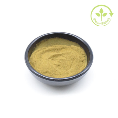 Persediaan Ekstrak Buah Ashwagandha alami 5% Withanolides