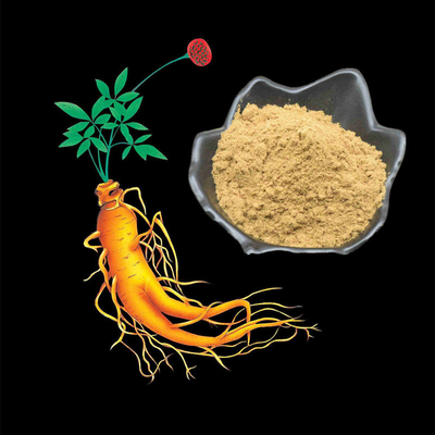 80 Mesh Ginseng Root Extract Powder 1% -80% Ekstrak Tumbuhan Alami