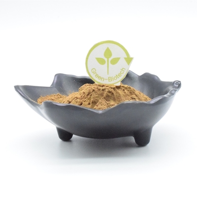 Body Building Ajuga Turkestanica Extract Powder Ekstrak Tanaman Bubuk 500mg 750mg 1000mg