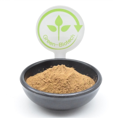 Ekstrak Tanaman HACCP Bubuk Ajuga Turkestanica 2% Turkesterone Fat Loss