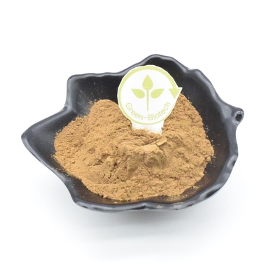 2% Ajuga Turkest Ekstrak Binaraga