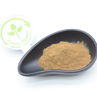 2% Turkesterone Ekstrak Tumbuhan Alami Bubuk Anti Jamur Diuretik Efektif