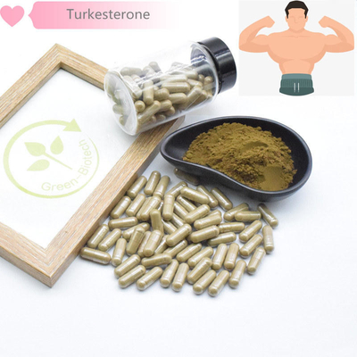 500mg Ekstrak Tumbuhan Alami Turkestanica