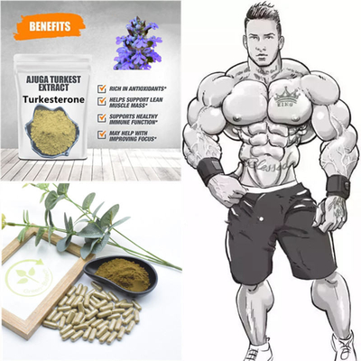 500mg Ekstrak Tumbuhan Alami Turkestanica