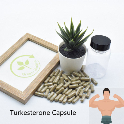2% 10% Ajuga Turkestanica Suplemen Ekstrak Tumbuhan Alami Ecdysteroid