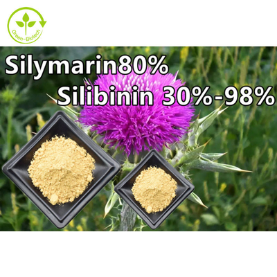 Milk Thistle Plant Extract Powder 80% Silymarin Food Grade