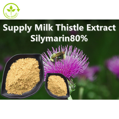 Milk Thistle Plant Extract Powder 80% Silymarin Food Grade