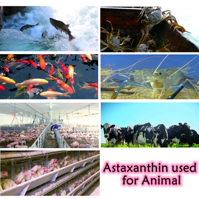CAS 7542-45-2 1% - 10% Serbuk Astaxanthin Untuk Perawatan Sehat