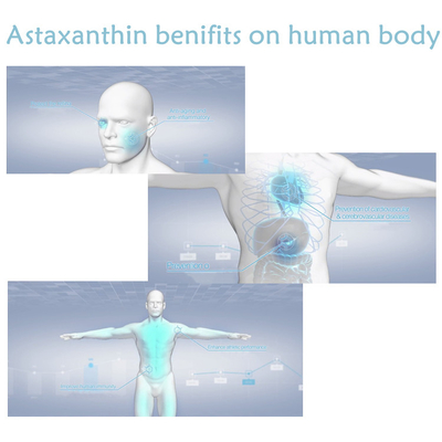 CAS 7542-45-2 1% - 10% Serbuk Astaxanthin Untuk Perawatan Sehat