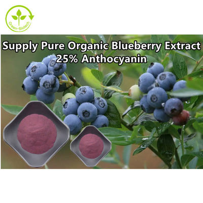 Bubuk Ekstrak Blueberry Organik Murni Anthocyanin 25%