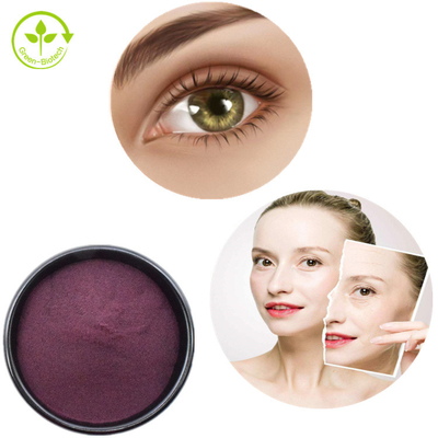 Bubuk Ekstrak Blueberry Organik Murni Anthocyanin 25%
