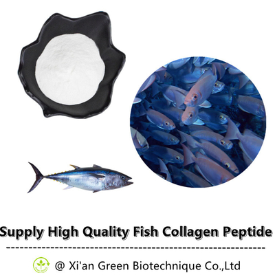 Hot Jual Kolagen Peptida Ikan Murni Bubuk Kolagen Peptida Ikan Laut Dalam