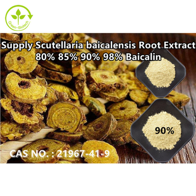 Pasokan Green Biotech Ekstrak Baical Skullcap Kemurnian Tinggi Baicalin 80% 85% 90% 98% CAS NO.:21967-41-9