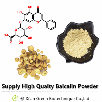 Pasokan Green Biotech Ekstrak Baical Skullcap Kemurnian Tinggi Baicalin 80% 85% 90% 98% CAS NO.:21967-41-9