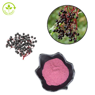 1% - 25% Ekstrak Elderberry Komposisi Bubuk 25kg/Drum Untuk Produk Perawatan Kesehatan