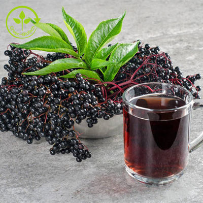 1% - 25% Ekstrak Elderberry Komposisi Bubuk 25kg/Drum Untuk Produk Perawatan Kesehatan